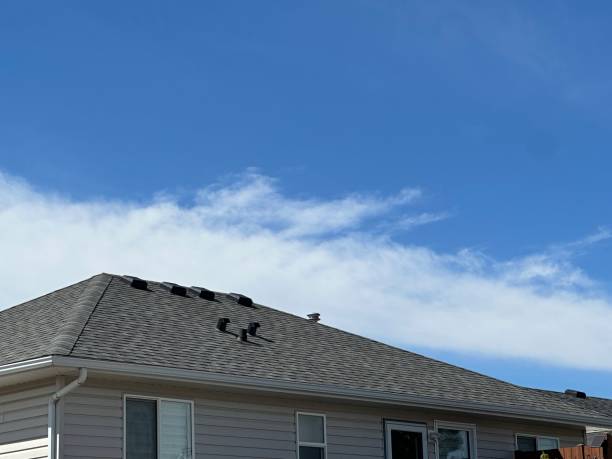 Best Asphalt Shingles Roofing  in Luckey, OH